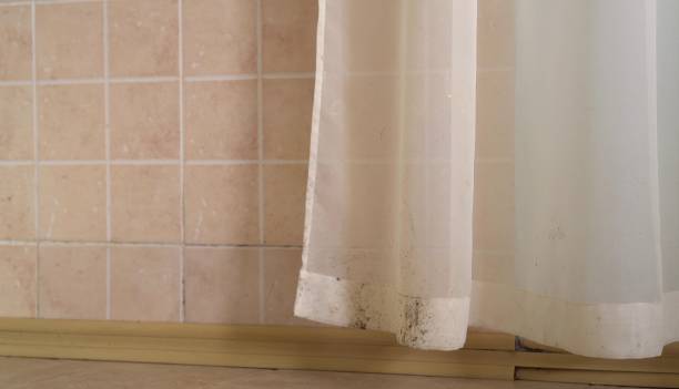 Montgomery, IN Mold Removal Company