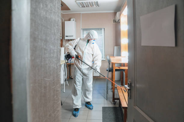 Best Forensic Mold Investigation  in Montgomery, IN
