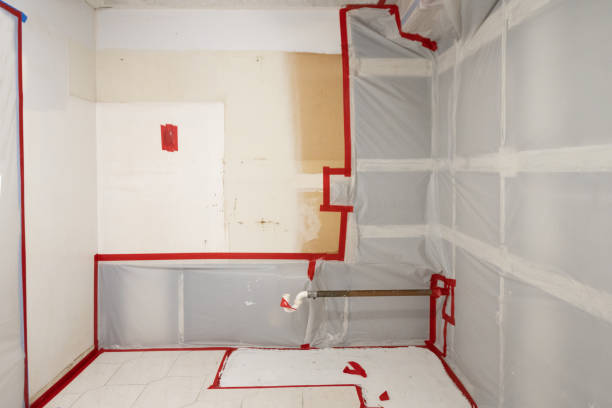 Best Black Mold Removal  in Montgomery, IN